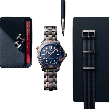 Seamaster Automatic Dial 210.20.42