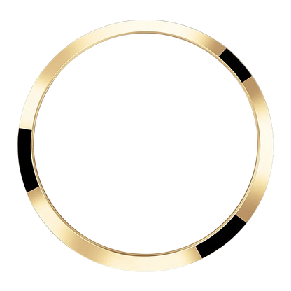 Explorer 36mm 18k Yellow Gold and Stainless steel (2024) 124273-0001